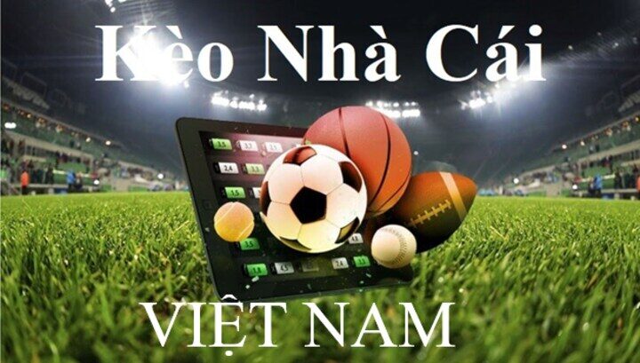 Soi kèo nhà cái Việt Nam cần quan tâm những gì?